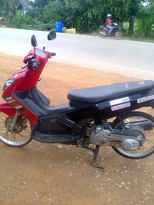 นูโวเอ็มเอ็กซ์ปี48