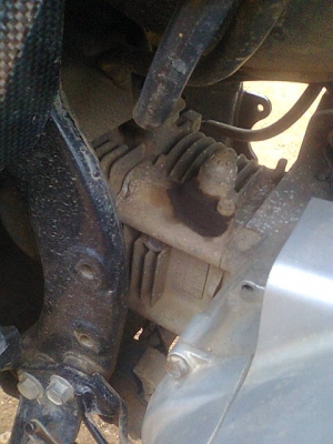 นูโวเอ็มเอ็กซ์ปี48