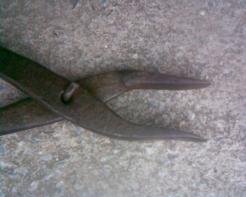 ตัวจับหนีบ