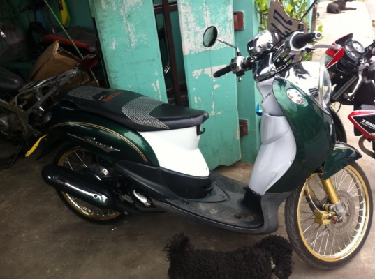 ด่วนเลย ฟีโน่