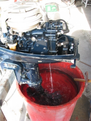 ยามาฮ่า 8 แรง หางสั้น ยามาฮ่า 8 แรง หางสั้น