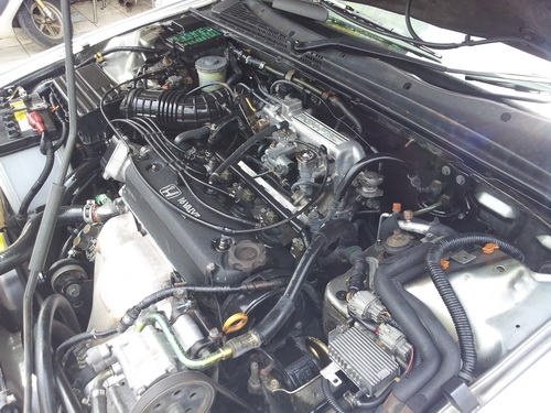 ขายแอคคอร์ด ตาเพรช เดิมๆสวยๆ ในราคาไม่ต้องเป็นหนี้ ขายแอคคอร์ด ตาเพรช เดิมๆสวยๆ ในราคาไม่ต้องเป็นหนี้