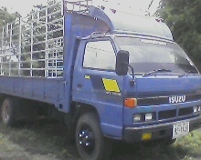 ขายisuzu115แรง6ล้อยาว5เมตรคอกเหล็กสวยเป๊ปปะปารถสวยFหน้าแล้วราคาต่อรองได้