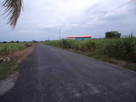 ขายที่่ดินสวยๆ โฉนดที่ดิน 7ไร่ เแบ่งขายไร่ละ 650,000.- เจ้าของขายเอง ต.หนองปลิง อ.เมือง 089-5624785 สมศักดิ์ ขายที่่ดินสวยๆ โฉนดที่ดิน 7ไร่ เแบ่งขายไร่ละ 650,000.- เจ้าของขายเอง ต.หนองปลิง อ.เมือง 089-5624785 สมศักดิ์