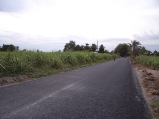 ขายที่่ดินสวยๆ โฉนดที่ดิน 7ไร่ เแบ่งขายไร่ละ 650,000.- เจ้าของขายเอง ต.หนองปลิง อ.เมือง 089-5624785 สมศักดิ์ ขายที่่ดินสวยๆ โฉนดที่ดิน 7ไร่ เแบ่งขายไร่ละ 650,000.- เจ้าของขายเอง ต.หนองปลิง อ.เมือง 089-5624785 สมศักดิ์