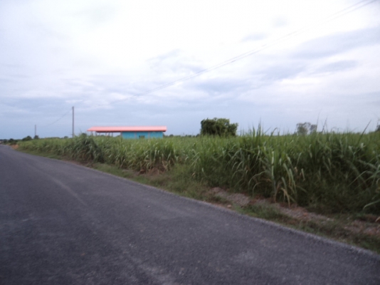 ขายที่่ดินสวยๆ โฉนดที่ดิน 7ไร่ เแบ่งขายไร่ละ 650,000.- เจ้าของขายเอง ต.หนองปลิง อ.เมือง 089-5624785 สมศักดิ์ ขายที่่ดินสวยๆ โฉนดที่ดิน 7ไร่ เแบ่งขายไร่ละ 650,000.- เจ้าของขายเอง ต.หนองปลิง อ.เมือง 089-5624785 สมศักดิ์