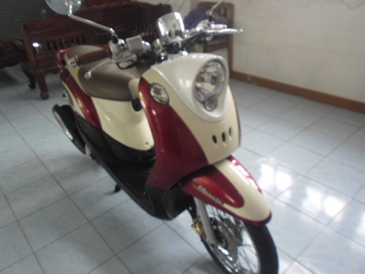 ฟีโน่เกแยก(19900ส่งฟรี)