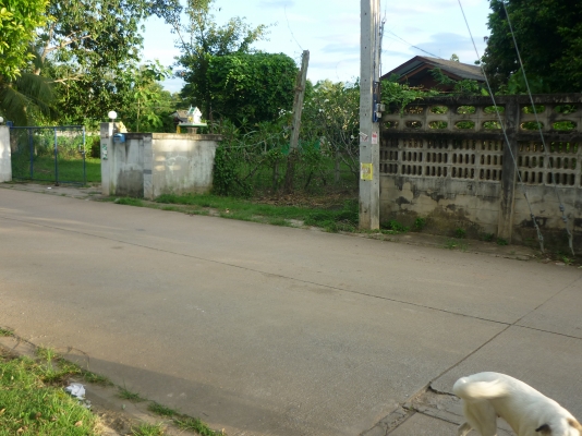 ขายที่ดินตัวเมืองเีชียงราย