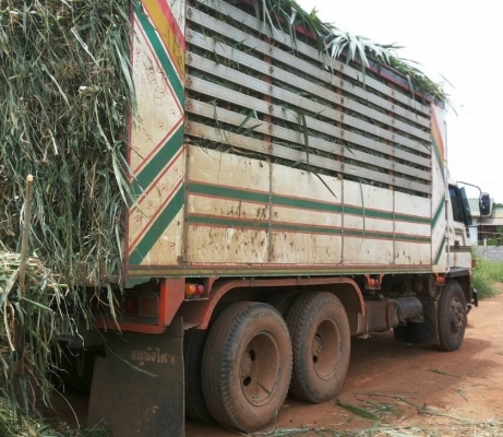 ISUZU JCM 175 HP 6BG1 สิบล้อดั๊มพ์เพลาเดียว กระบะดั๊มพ์มิเนียมคอกสูงเกษตรสภาพสวยจัด เครื่องแห้งแรงดี หัวเก๋งร็อกกี้สวยจัดลงเล่มครบถูกต้องภายในคอนโซลสวยครบ แอร์เย็น พวงมาลัยเพาเวอร์ ระบบเบรคทริ๊ปฟี้ ช่วงล่างใหญ่ชุดเพลาและเฟืองท้ายของจัมโบ้ 200 ยางสภาพดี 80