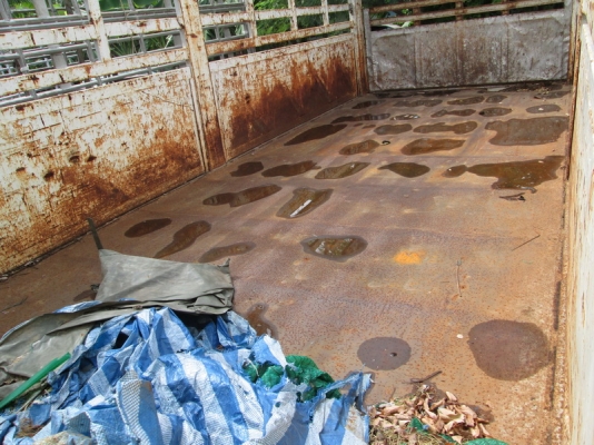 ขาย Isuzu 10ล้อ เดคก้า 195 เพลาเดียวดั้ม ปี2000. ขาย Isuzu 10ล้อ เดคก้า 195 เพลาเดียวดั้ม ปี2000.