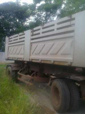 ขายไอ้หลง MMTFปี41แม่ลูกดั้ม ขายไอ้หลง MMTFปี41แม่ลูกดั้ม