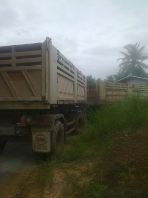 ขายไอ้หลง MMTFปี41แม่ลูกดั้ม ขายไอ้หลง MMTFปี41แม่ลูกดั้ม