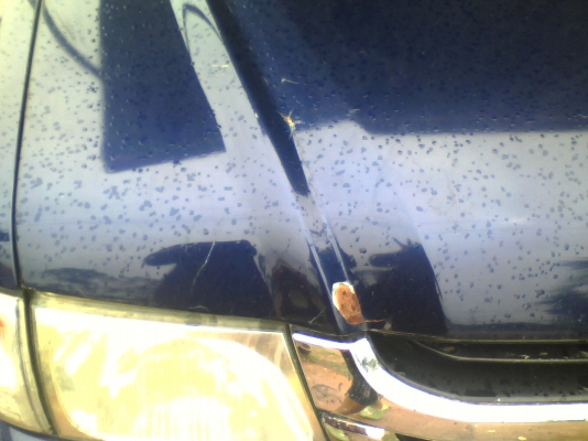 toyota.tiger.d4dcommonrail2.5diturbo