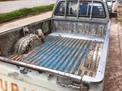 ขายกระบะมิตซู ขายกระบะมิตซู