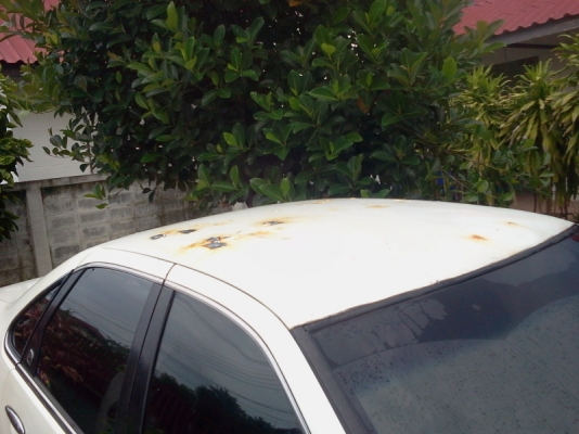 ขายดาวน์ เซฟิโร่ a 31 บอดี้สวยคับ RB20E12v +LPG (โทรมาคุยเลยคับ)