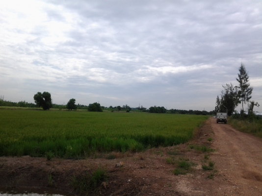 ขายที่ดิน26ไร่ติดถนนใหญ่ไกล้วัดใกล้โรงเรียนที่สวยราคาถูก