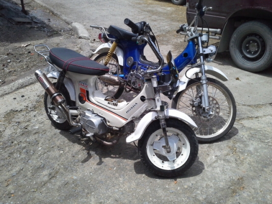 ขายชาลี