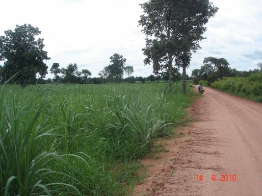 ขายด่วนครับ