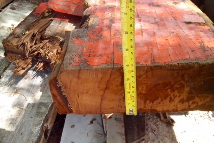 ไม้ตะเคียนทองไม้เรือเก่าเป็นไม้ตะเคียนทองทั้งลำครับ ไม้ประมาณ 2 รถหกล้อครับ ขนาด หน้า 14 นิ้ว หนา 4 นิ้ว ยาว 5 เมตร ประมรณ เกือบ 40 ตัว และมีส่วนประกอบออื่นของเรืออีก ไม้ตะเคียนทองไม้เรือเก่าเป็นไม้ตะเคียนทองทั้งลำครับ ไม้ประมาณ 2 รถหกล้อครับ ขนาด หน้า 14 นิ้ว หนา 4 นิ้ว ยาว 5 เมตร ประมรณ เกือบ 40 ตัว และมีส่วนประกอบออื่นของเรืออีก