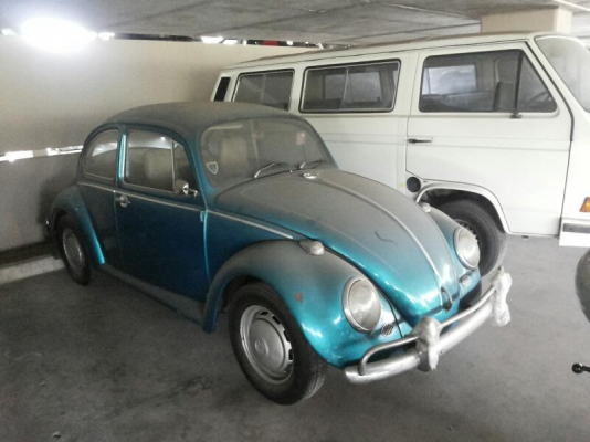 ขายเต่า ตาหวาน ด่วนๆๆ ราคาคุยกัน