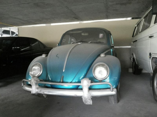 ขายเต่า ตาหวาน ด่วนๆๆ ราคาคุยกัน