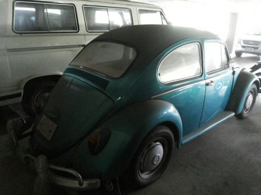 ขายเต่า ตาหวาน ด่วนๆๆ ราคาคุยกัน