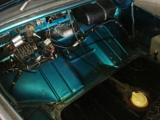 ขายเต่า ตาหวาน ด่วนๆๆ ราคาคุยกัน