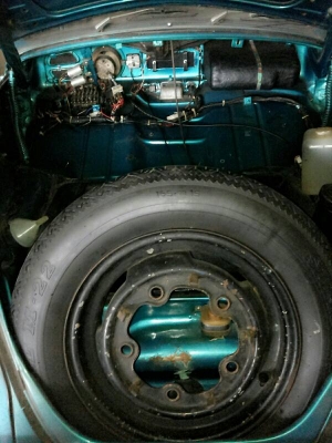 ขายเต่า ตาหวาน ด่วนๆๆ ราคาคุยกัน