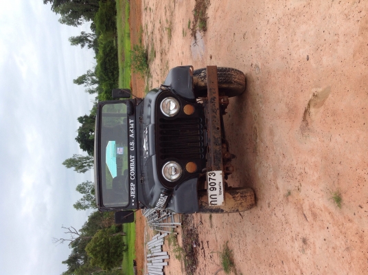 ขายจิ๊ปหน้ากบ