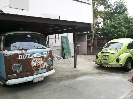 ขายเต่า ตาตั้ง ด่วนๆๆๆ