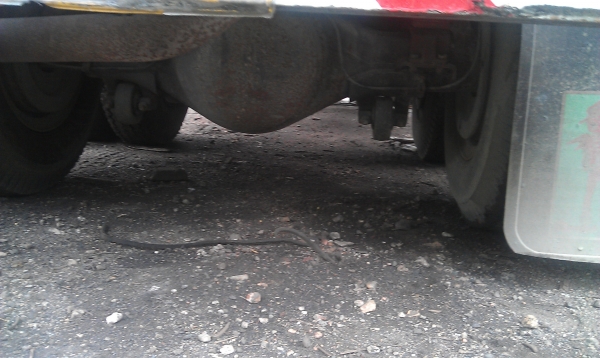 ขายรถ10ล้อ1เพลาพร้อมถังเลสอุปกรณ์ปั๊มลมครบๆแค่ถังก็คุ้มแล้ว