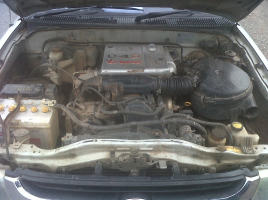 ขายไทยเกอร์ ปี 04 ตัว E D4D