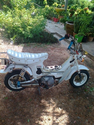 (((( ขายถูกๆ HONDA ชาลี 12,000 บาท ))) - เครื่อง HONDA เวฟZ 100cc.เคี่องดี ไม่มีขวันขาว เงียบๆ เดิมๆ เครื่องใหม่ๆถอนออกจากรถเวฟ Z - ของแต่อื่น ฯลฯ ตามรูป สนใจโทร 082-7391165 (โน๊ต กาฬสินธุ์ ) **เอกสารใบซื้อขายครับ รถจอดอยู่ อ.ห้วยผึ้ง จ.กาฬสินธุ์ 46240