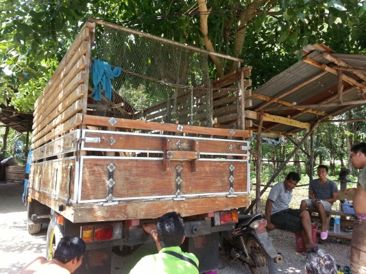 ขายด่วน