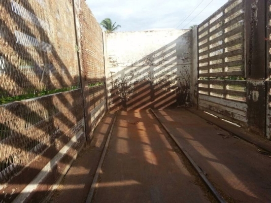 รถอีซูซุ 6 ล้อ รั้ว NQR 150 แรงม้า ปี 49 สนใจติดต่อ 081 - 6079515