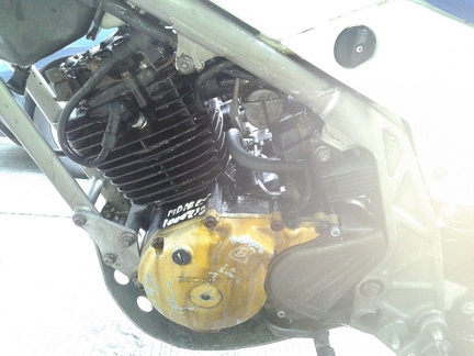 ขายแบบหน้ามืด Honda TLR 250 เพิ่งมาจากญี่ปุ่น