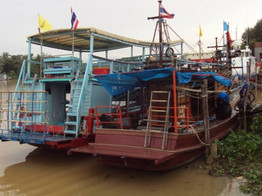 เรือไดหมึก เรือไดหมึก