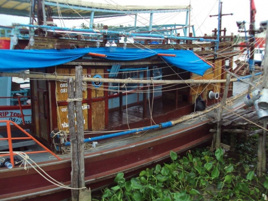 เรือไดหมึก เรือไดหมึก