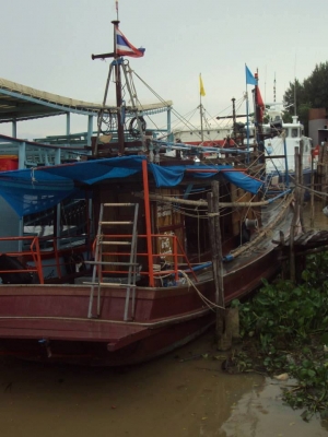 เรือไดหมึก เรือไดหมึก