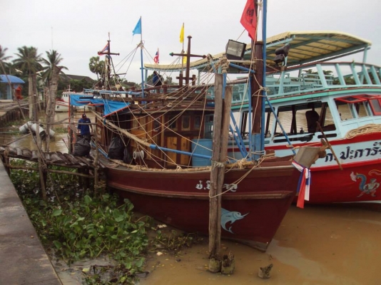 เรือไดหมึก เรือไดหมึก