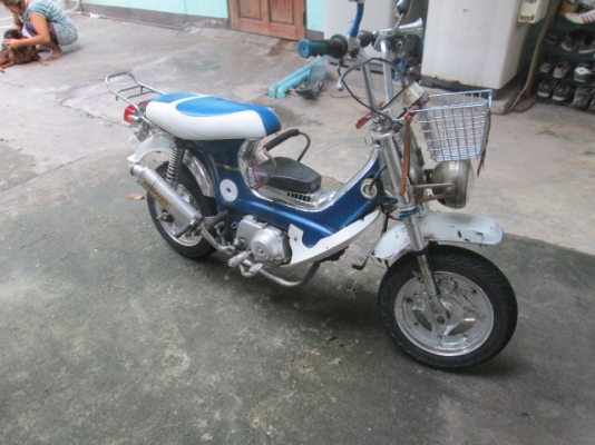 ขายชาลี เครื่องดีทีเดียวติด 11500 รถป๊อป ฮอนด้า AF12 ราคา2900ด่วน ขายชาลี เครื่องดีทีเดียวติด 11500 รถป๊อป ฮอนด้า AF12 ราคา2900ด่วน