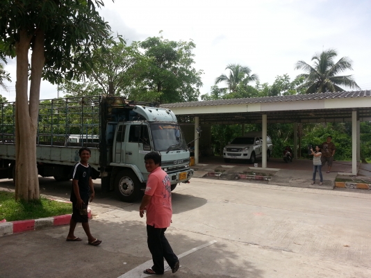 ISUZU FTR คุณสันต์ จังหวัดภูเก็ต มัดจำมาแล้วค่ะ 50,000 บาท รอจัดไฟแนนซ์ค่ะ