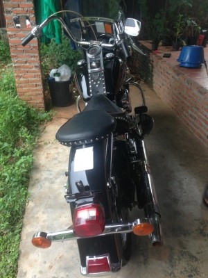 ขายsoftail evo