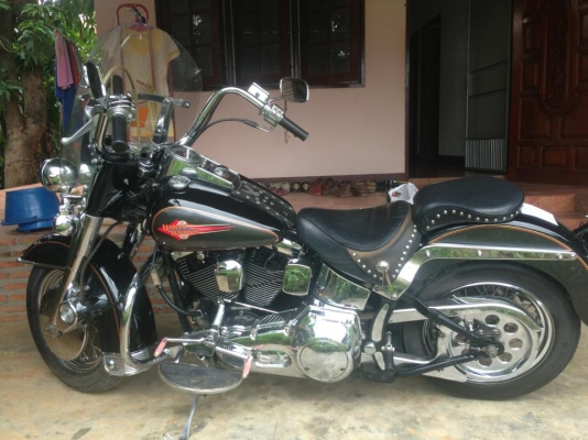 ขายsoftail evo