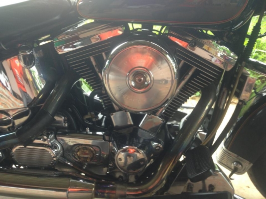 ขายsoftail evo