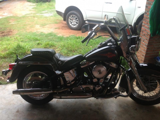 ขายsoftail evo