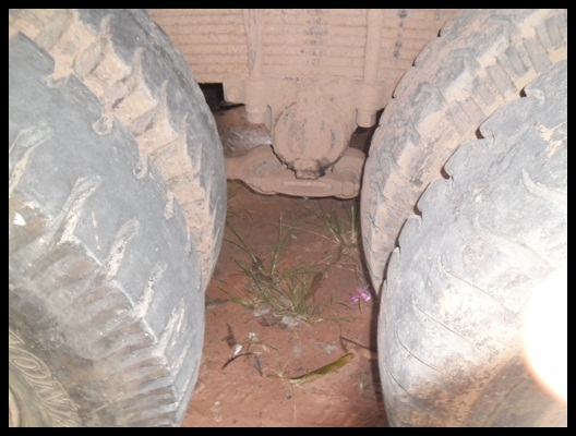 สิบล้อร๊อคกี้ 175  ราคาจิ๊บๆ