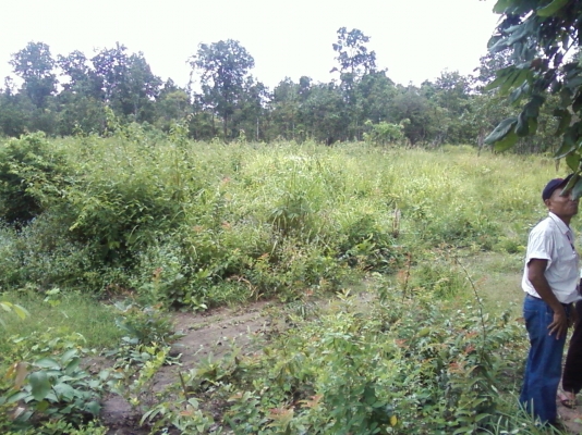 ขายที่ดินสวย จำนวน 48 ไร่ๆละ 49000 บาท