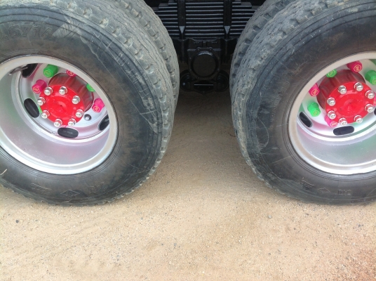 ขายเฉินหลง เทอร์โบTF