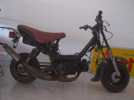 ขายยามาฮ่า ซิปปี้